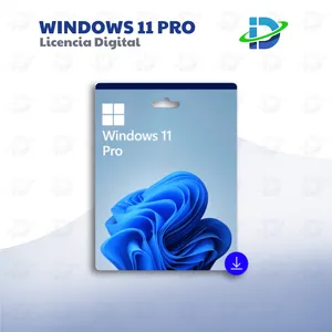 Windows 11 Pro